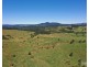 Millaa Millaa QLD 4886