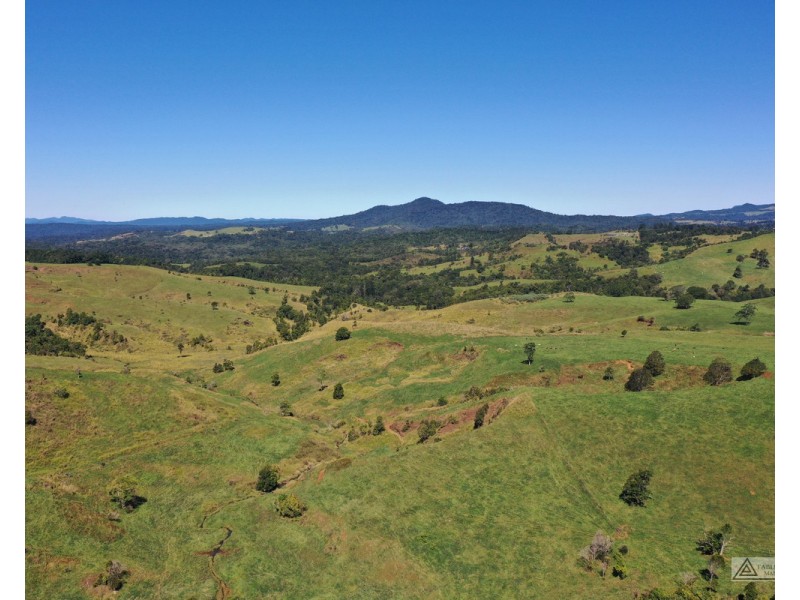 Millaa Millaa QLD 4886