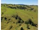 Millaa Millaa QLD 4886