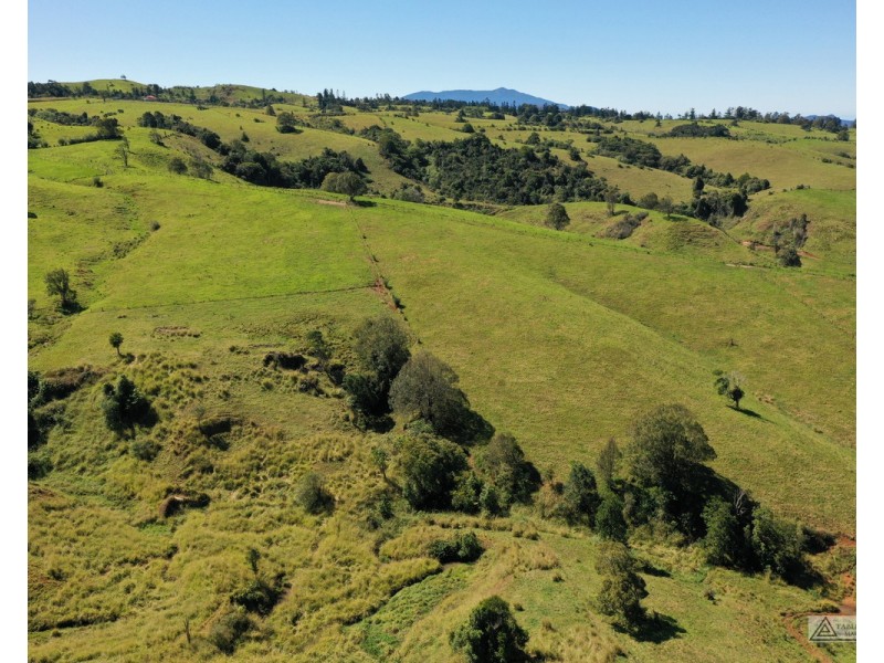 Millaa Millaa QLD 4886