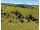 Millaa Millaa QLD 4886