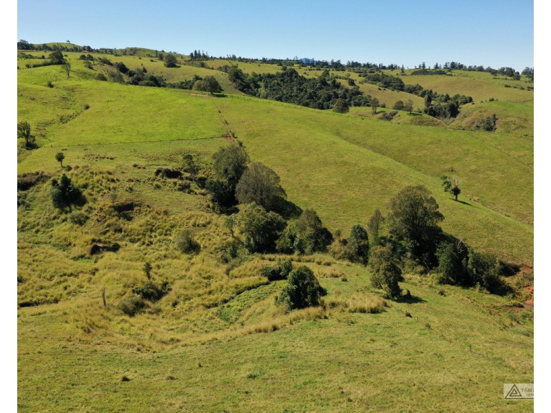 Millaa Millaa QLD 4886