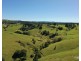 Millaa Millaa QLD 4886