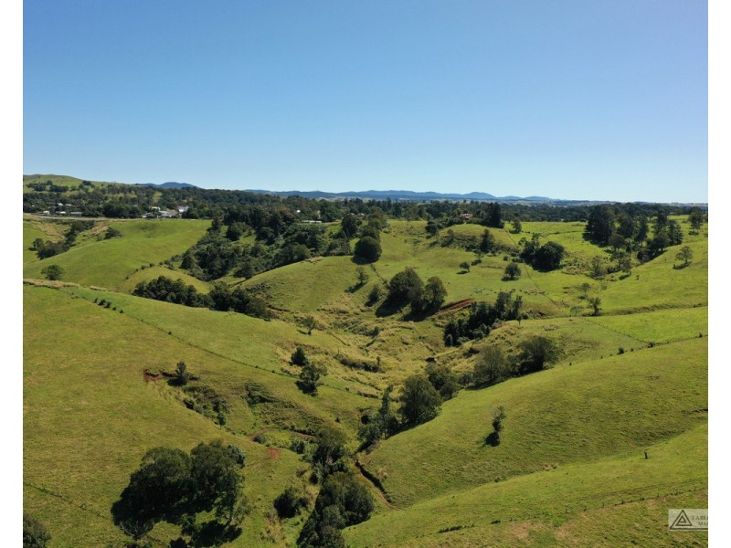 Millaa Millaa QLD 4886