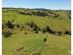 Millaa Millaa QLD 4886