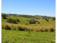 Millaa Millaa QLD 4886