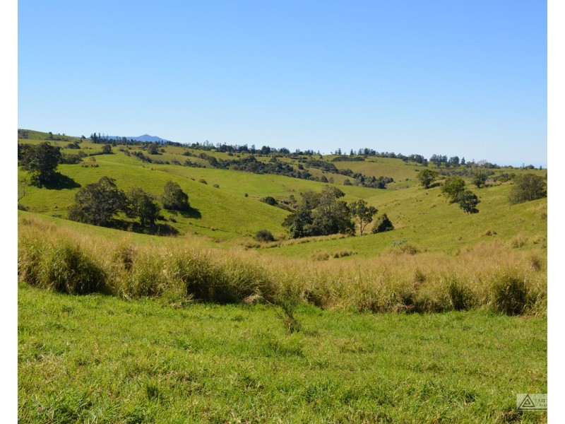 Millaa Millaa QLD 4886
