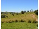Millaa Millaa QLD 4886