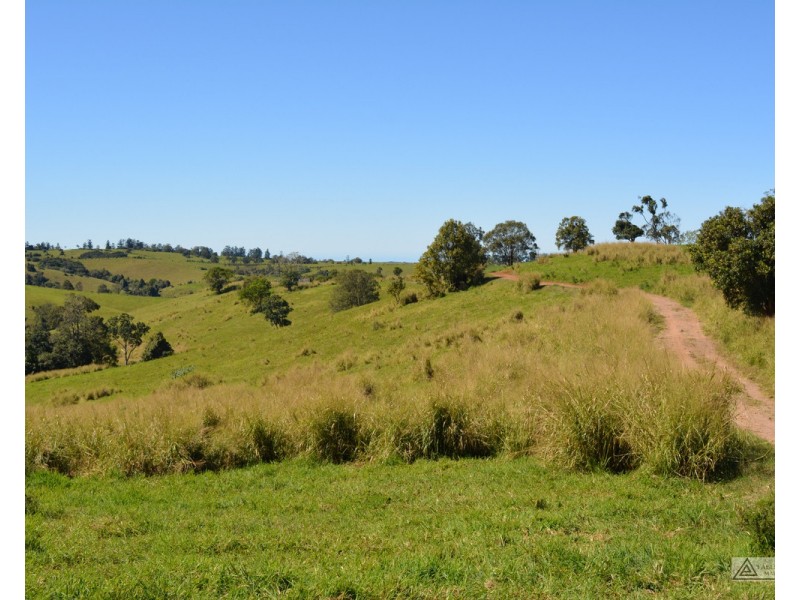 Millaa Millaa QLD 4886