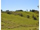 Millaa Millaa QLD 4886