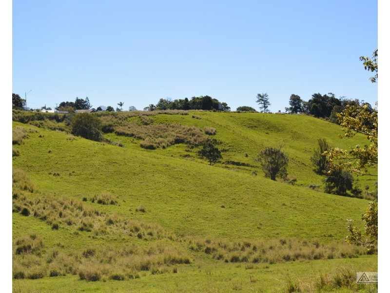 Millaa Millaa QLD 4886