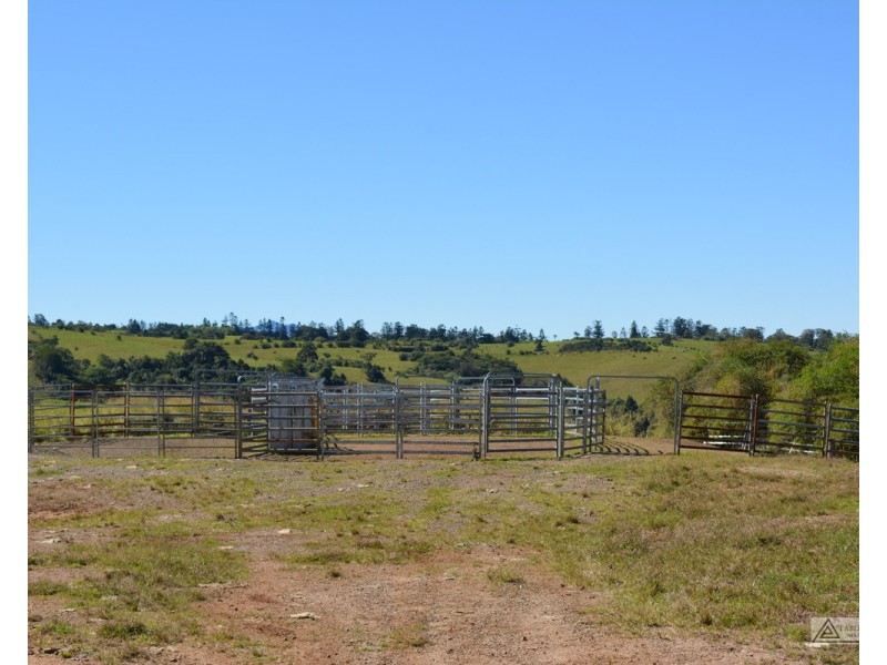 Millaa Millaa QLD 4886