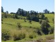 Millaa Millaa QLD 4886