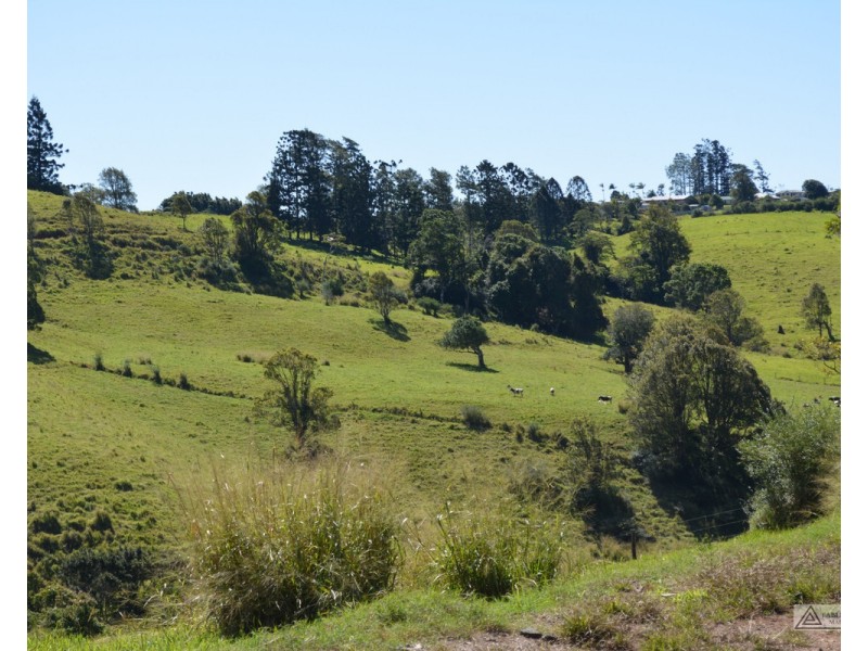 Millaa Millaa QLD 4886