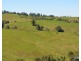Millaa Millaa QLD 4886