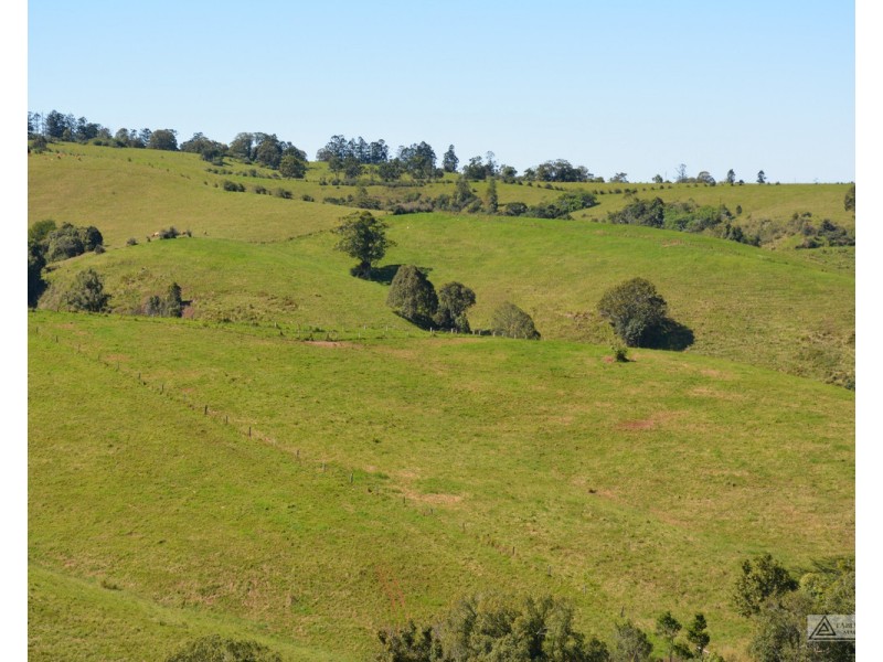 Millaa Millaa QLD 4886