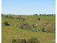Millaa Millaa QLD 4886