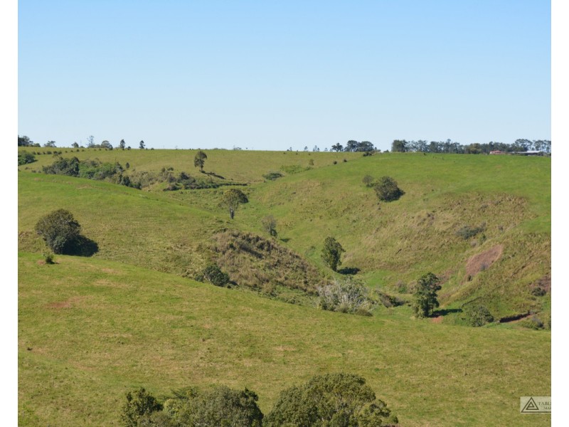 Millaa Millaa QLD 4886