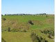 Millaa Millaa QLD 4886