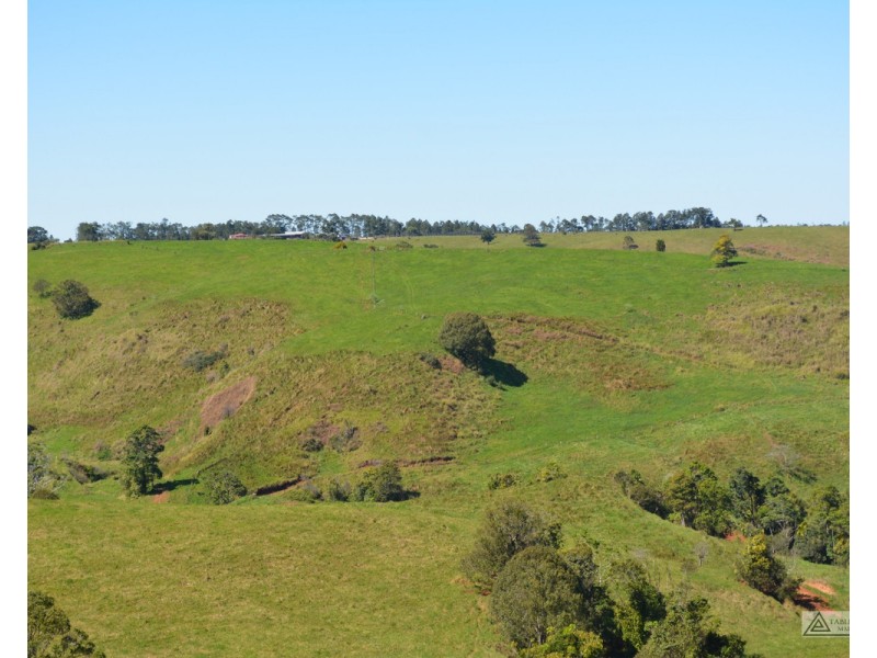 Millaa Millaa QLD 4886