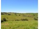 Millaa Millaa QLD 4886
