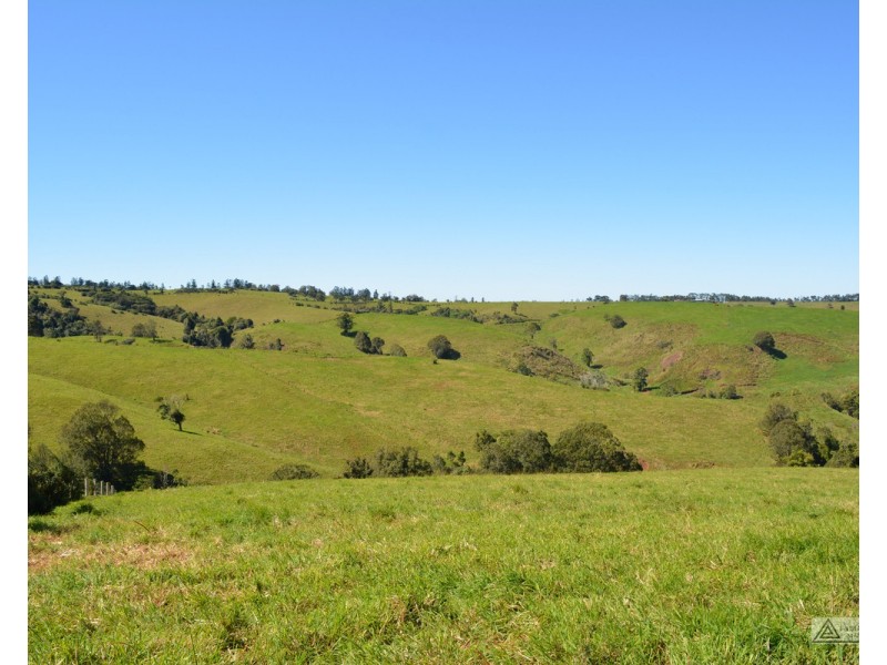 Millaa Millaa QLD 4886