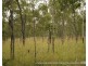 Millstream QLD 4888