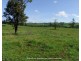 Millaa Millaa QLD 4886