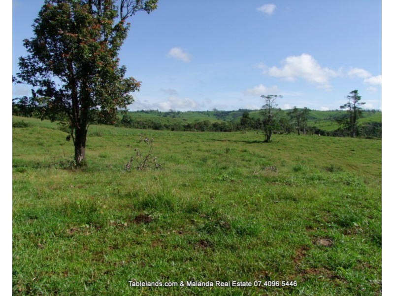 Millaa Millaa QLD 4886