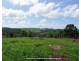 Millaa Millaa QLD 4886