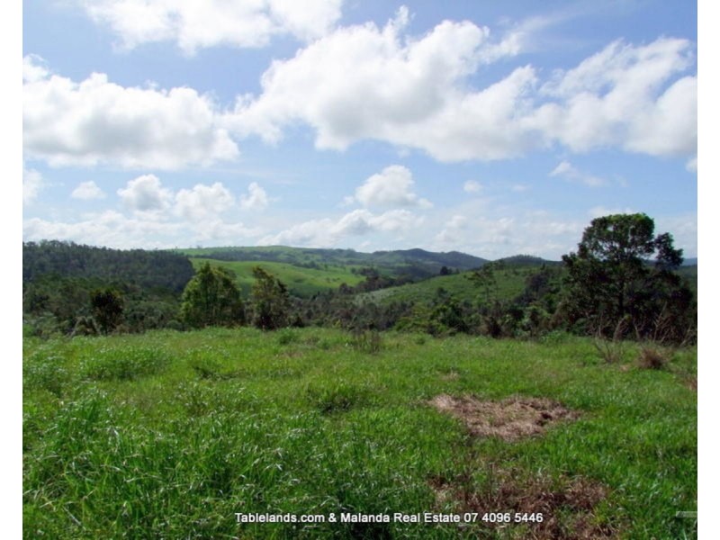 Millaa Millaa QLD 4886