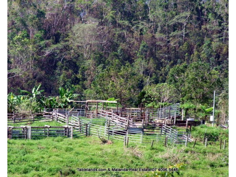 Millaa Millaa QLD 4886