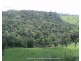 Millaa Millaa QLD 4886
