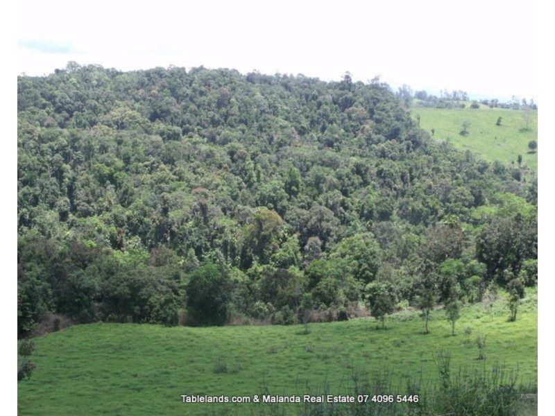 Millaa Millaa QLD 4886
