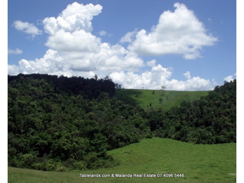 Millaa Millaa QLD 4886