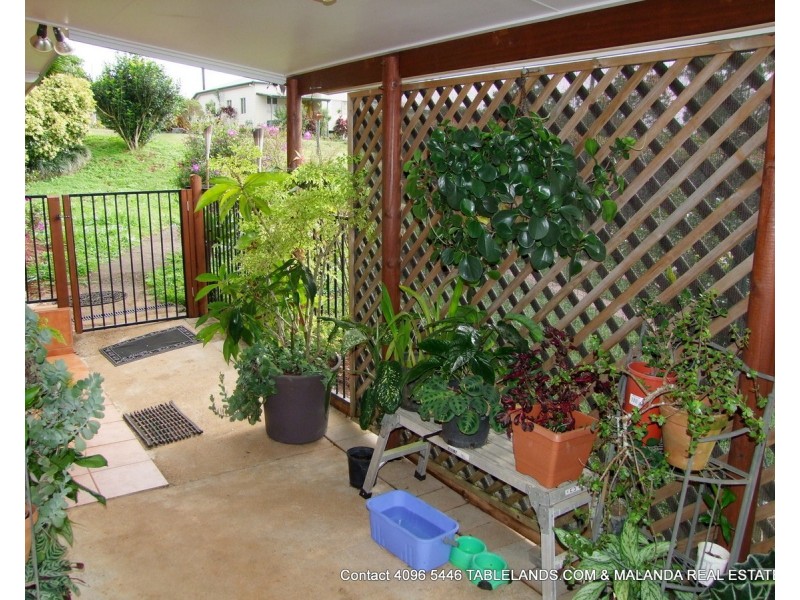 Millaa Millaa QLD 4886