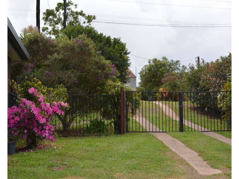 Millaa Millaa QLD 4886