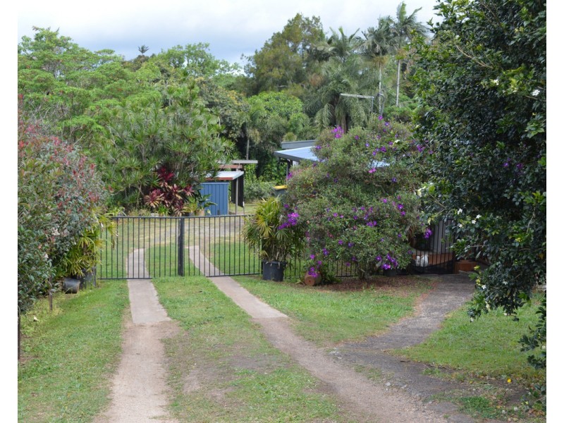 Millaa Millaa QLD 4886