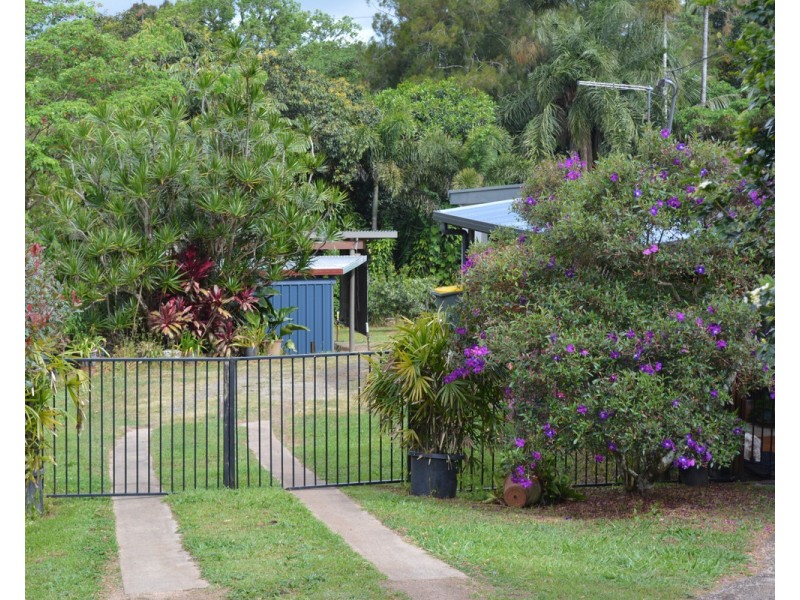 Millaa Millaa QLD 4886