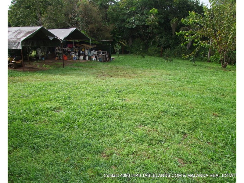 Millaa Millaa QLD 4886