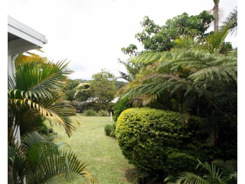Millaa Millaa QLD 4886