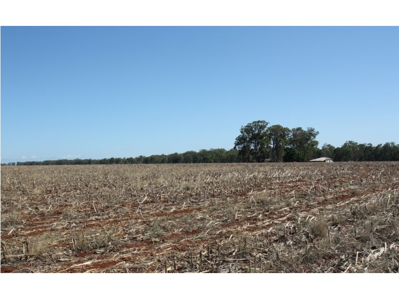 Kaban QLD 4888