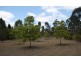 Millstream QLD 4888