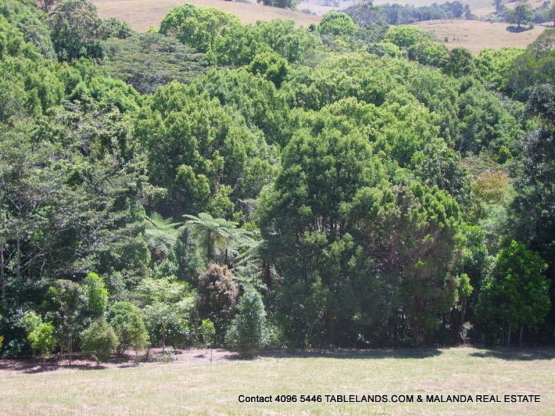 Tarzali QLD 4885