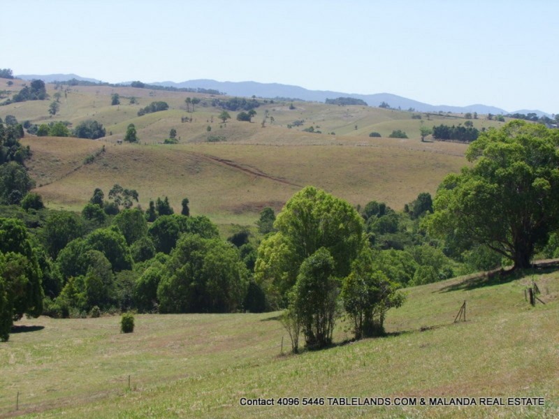 Tarzali QLD 4885