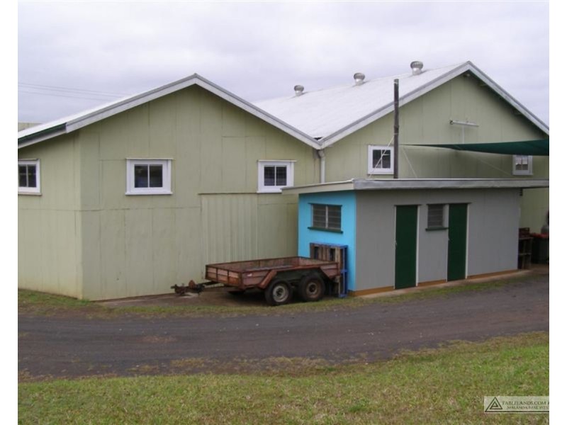 Millaa Millaa QLD 4886