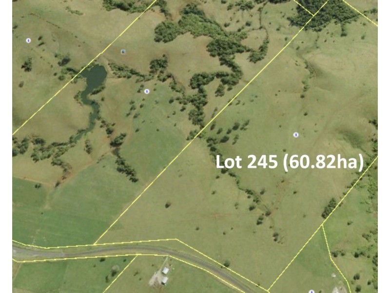 Millaa Millaa QLD 4886