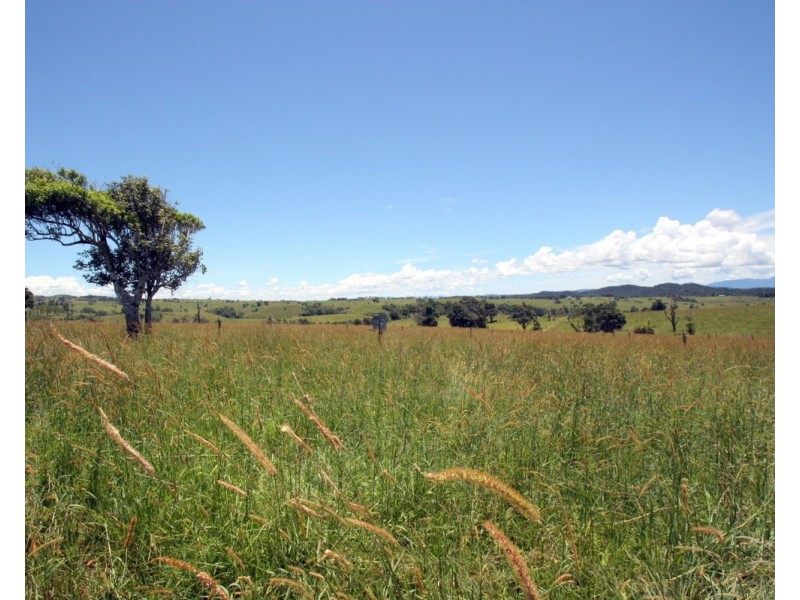 Millaa Millaa QLD 4886