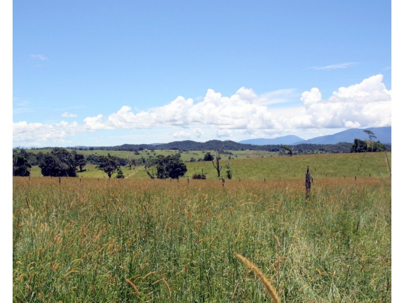 Millaa Millaa QLD 4886