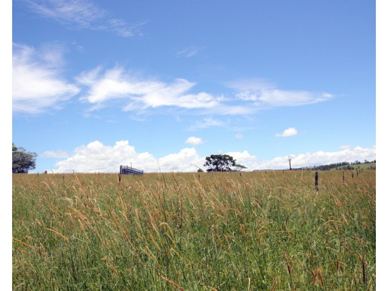 Millaa Millaa QLD 4886